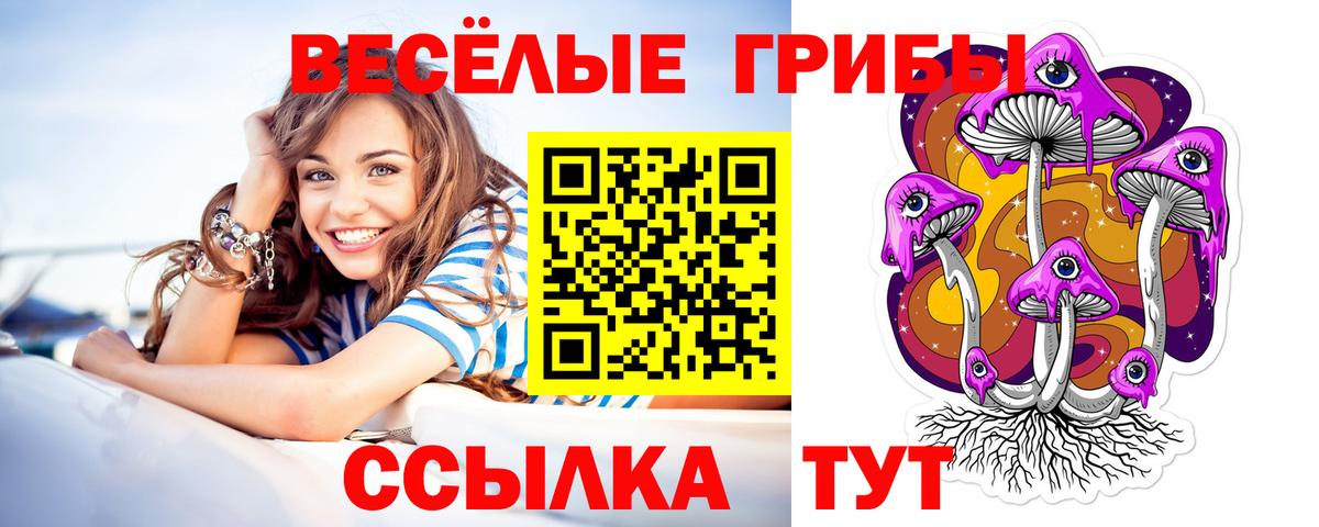 Богородск  Псилоцибиновые грибы прущие грибы  Псилоцибиновые грибы MAGIC MUSHROOMS  как найти   Вход с VPN 