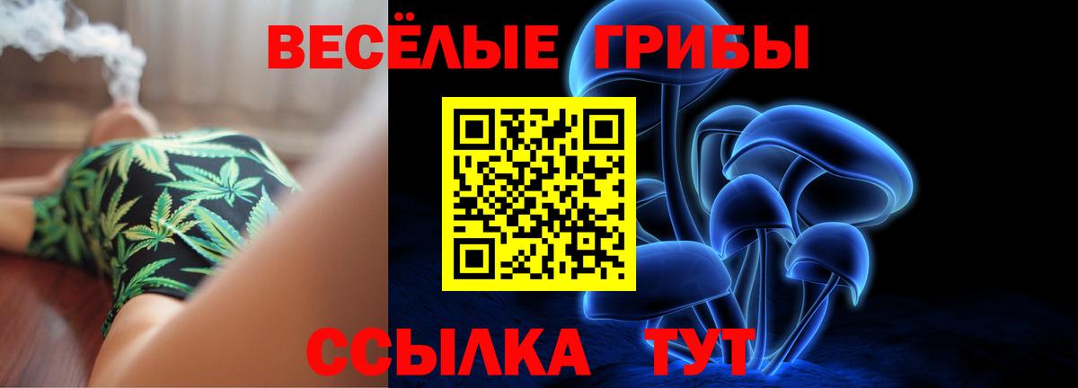 Псилоцибиновые грибы мицелий Богородск